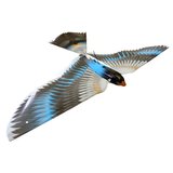 Avitron 2 Ornithopter