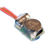 PLD-BAC-004
