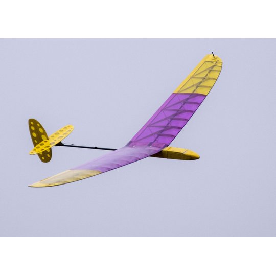 Dlg rc sales glider