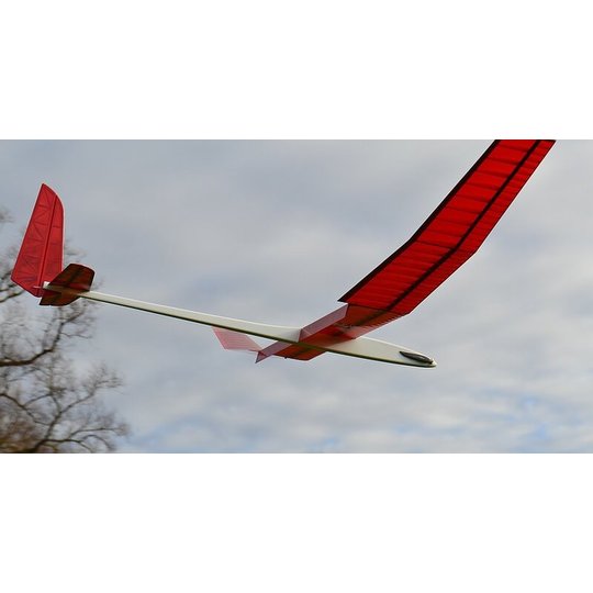 Introduction F5J 2.9m RC Models Electric F5J Gliders
